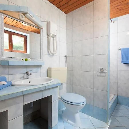 Apartment Daila Novigrad (Istria)