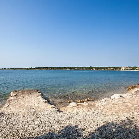 Daila * Novigrad Istria