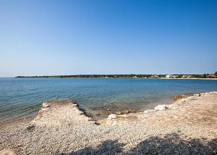 Daila * Novigrad Istria